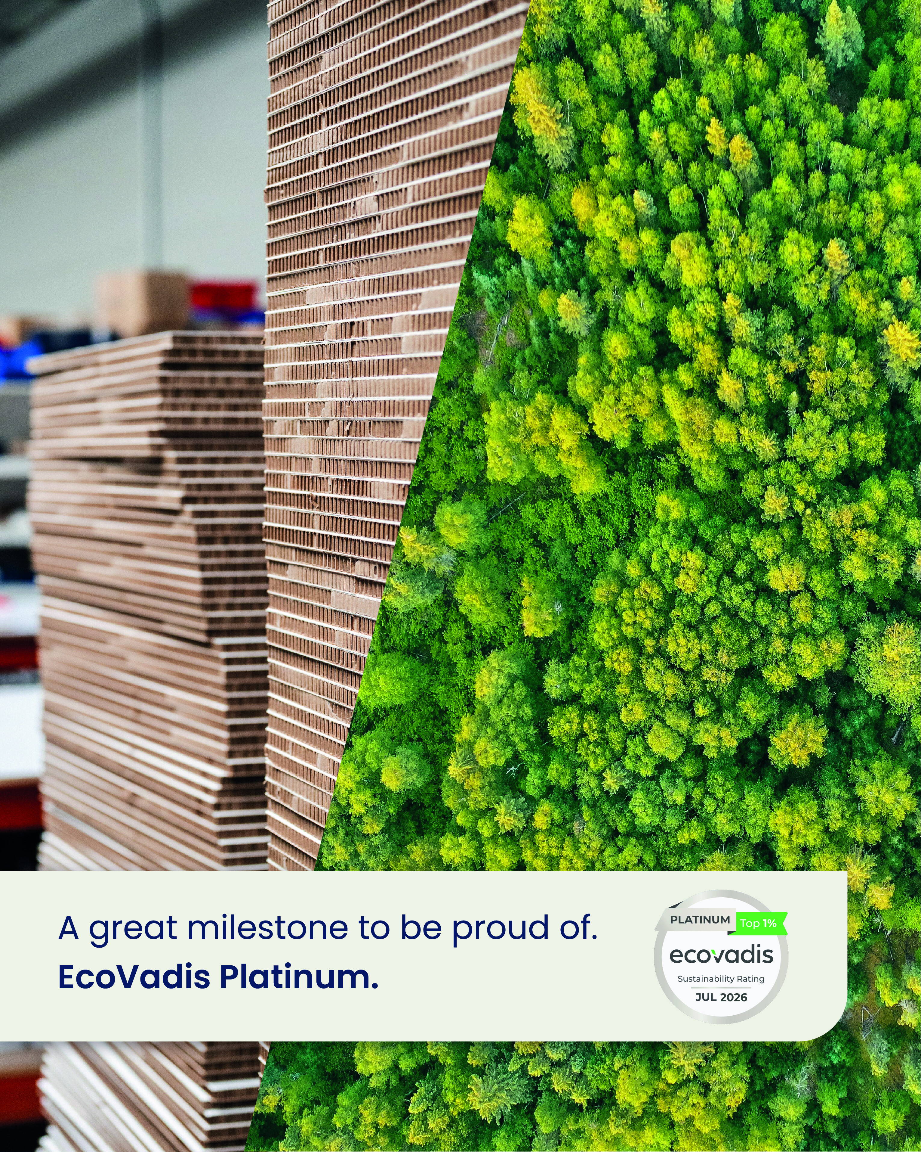 We've achieved the EcoVadis Platinum medal